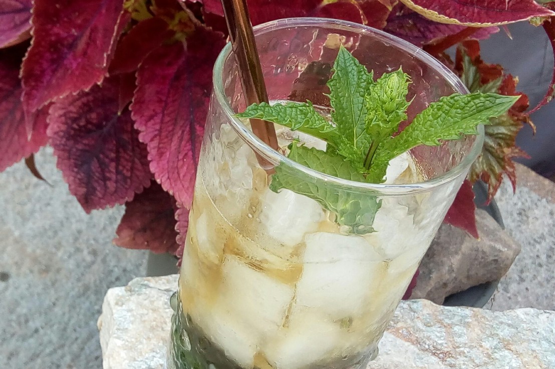 A Quarantini Cocktail: The Mint Julep